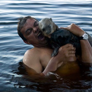 They are cute and fun to watch. But otters have a dark side.