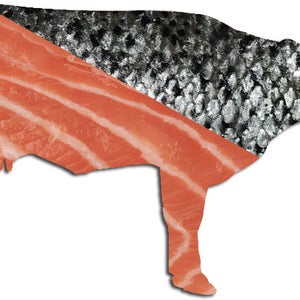 Meat scientists want more salmon in your beef.