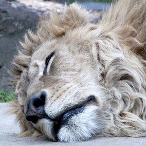 Stick to the standard sleep cycle.