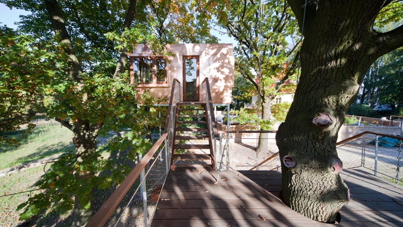 Architektur Baumhaus Natur Kupfer treppe Baumstamm Eiche Terrasse Wald