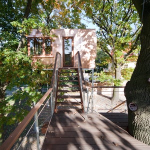 Architektur Baumhaus Natur Kupfer treppe Baumstamm Eiche Terrasse Wald