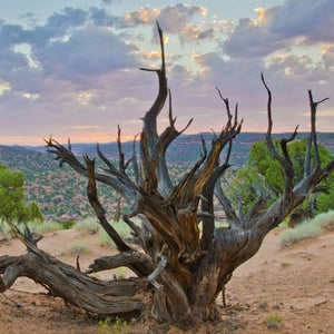 OutsideOnline National Monument Grand Staircase Escalante juniper ancient Footprint