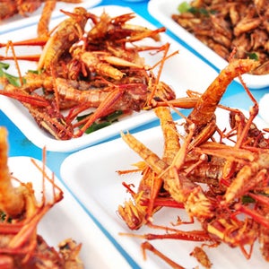 Fried grasshoppers on offer in Thailand: would you try it?