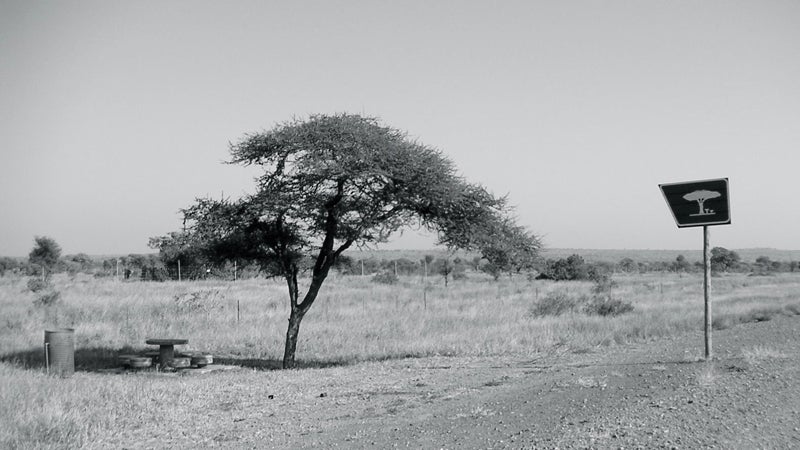 On the side of the highway, Mozambique 2004.