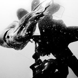 Outside magazine July 2006 Humboldt Squid Baja Sea of Cortez underwater cameraman squid hard out here shrimp 20 mph swim human flesh attack eery beast ocean