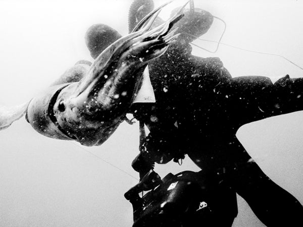 Outside magazine July 2006 Humboldt Squid Baja Sea of Cortez underwater cameraman squid hard out here shrimp 20 mph swim human flesh attack eery beast ocean