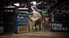 PBR Bulls Fitness Will Grant Buck