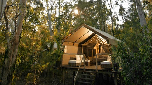 The Barebones Safari Tent houses eight people and feels like the height of camping luxury.