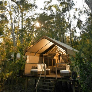 Despite what some preppers might have you to believe, the most popular form of camping in the U.S. has nothing to do with eating bugs or building your own makeshift shelter. Read more.