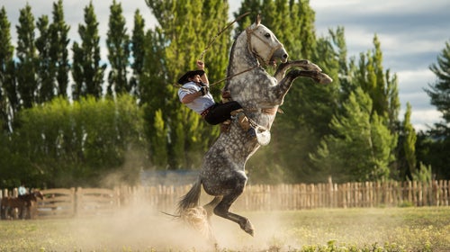 Gaucho Argentina Horse Jumping Patagonia Cowboy