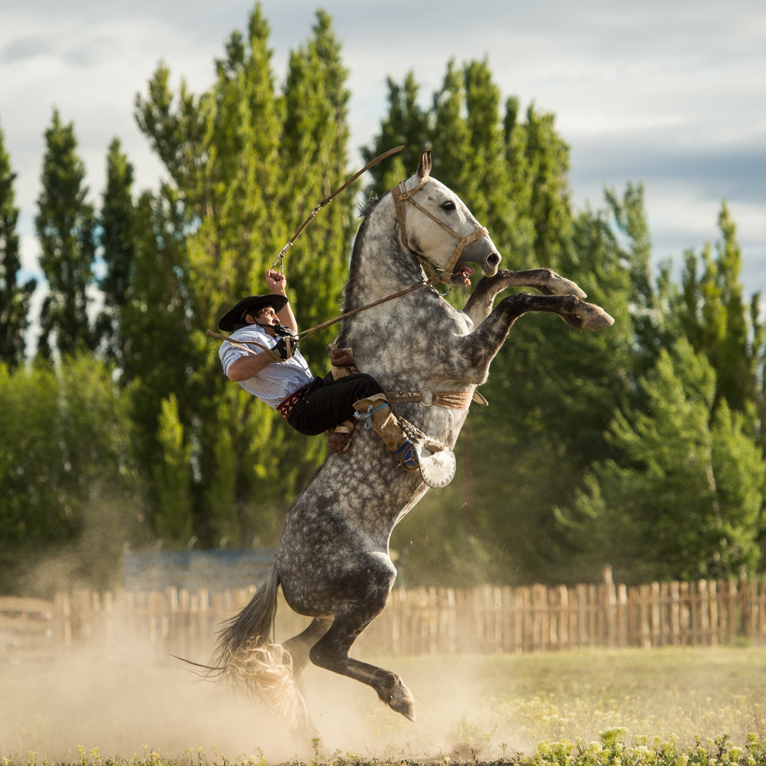 Gaucho Argentina Horse Jumping Patagonia Cowboy