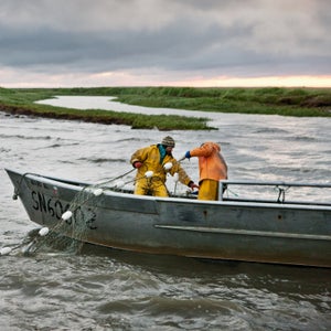 Alaska Bristol Bay Corey Arnold Coreyfishes Graveyard Point Wolf Tide art bay beauty in nature boat commercial fishing day environment fish work fish-work fisherman fishing gill net gillnet hauling high tide holding man motion nature net ocean outdoors pebble mine people photo photograph photographer photography photos portfolio pulling rain gear red salmon reds salmon sea skiff sockeye salmon struggling sunrise sunset three quarter length tide two people water wave work gear worker working