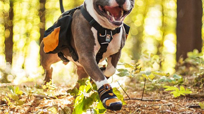 Kurgo Step and Strobe Dog Shoes kurgo paw protection outdoors outside magazine outside online hot-weather gear for dogs
