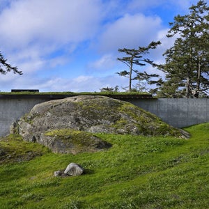 PIERRE WASHINGTON OLSON KUNDIG ARCHITECTS