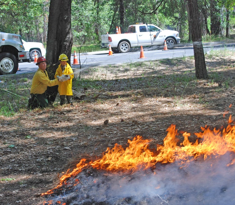 yosemite yosemite national park gabriel lawan-ying honorary park ranger junior ranger fire ranger brushfire wildfire make-a-wish