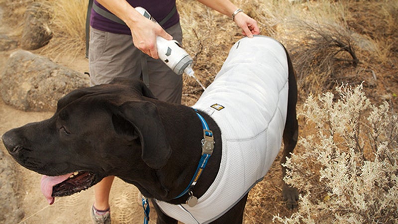 ruffwear ruffwear performance dog gear dog hound hot-weather swamp cooler outside online outside magazine