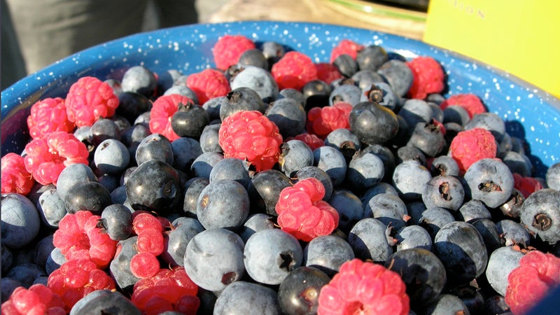 When engaging with the sun, let your antioxidants do the talking. outside online spf nutrient berries strawberries blueberries