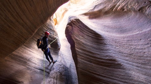 Zion National Park Explore Zion ԹϺ Online Travel