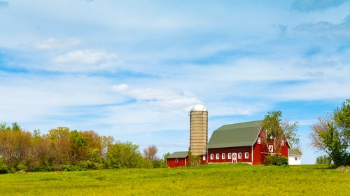 Silo Sleeping Farmlife ԹϺ Online