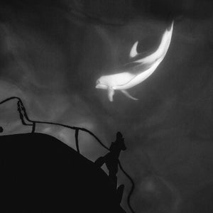 Viewfinder Outside Online Dolphin British Columbia