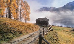 The Cabin of My Dreams