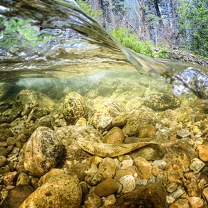 GoPro Underwater Photography Gear Outside Online
