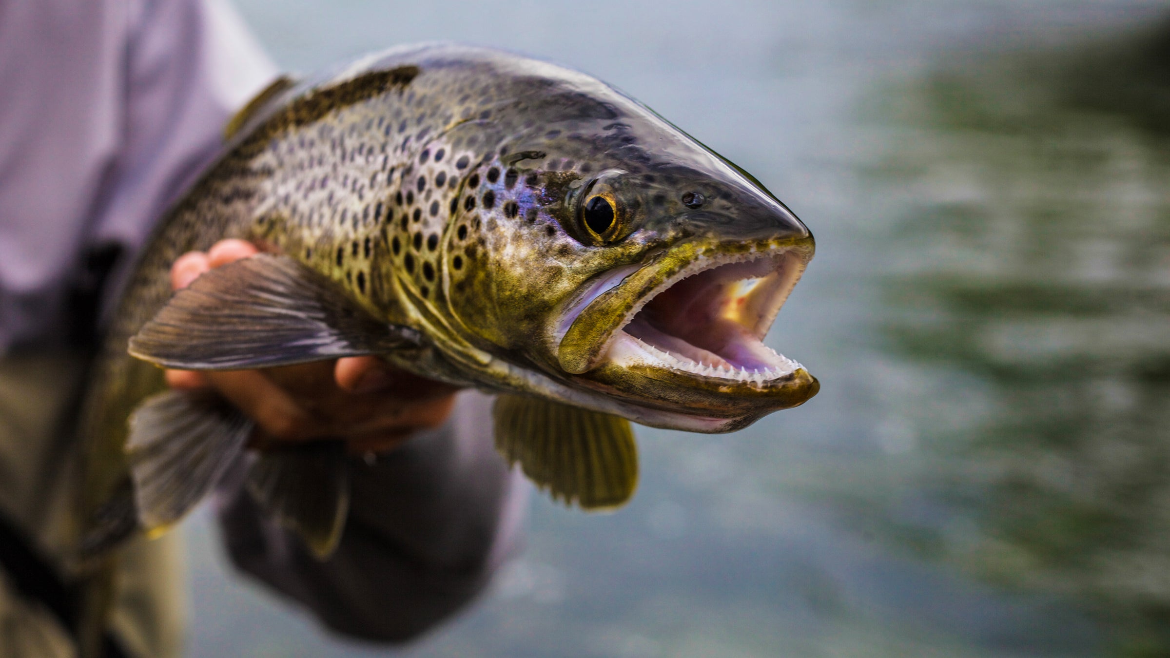 Howler Brothers Outside Online Fly Fishing Shirt Gear