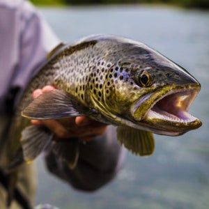 Howler Brothers Outside Online Fly Fishing Shirt Gear