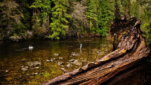 Viewfinder Fishing British Columbia ԹϺOnline Koreski