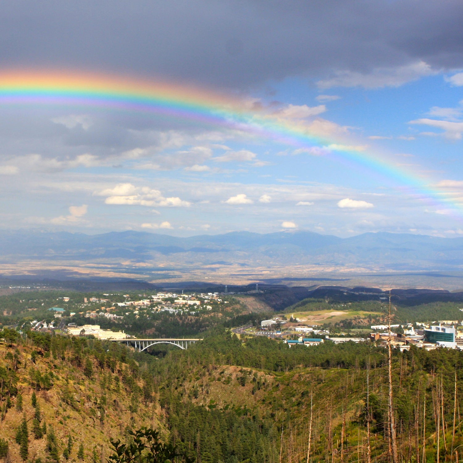 One out of seven houses in Los Alamos are located on the border of some kind of open space; an estimated 95 percent of the population lives within a seven-minute walk of a trail access or trailhead.