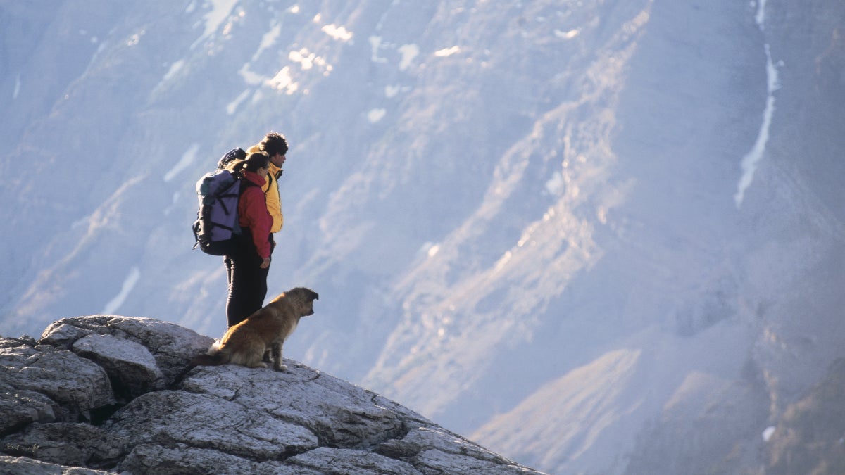 Do Animals Feel Love?