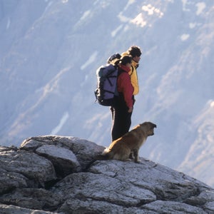 Dogs Love Animal love Mans best friend Outside Online