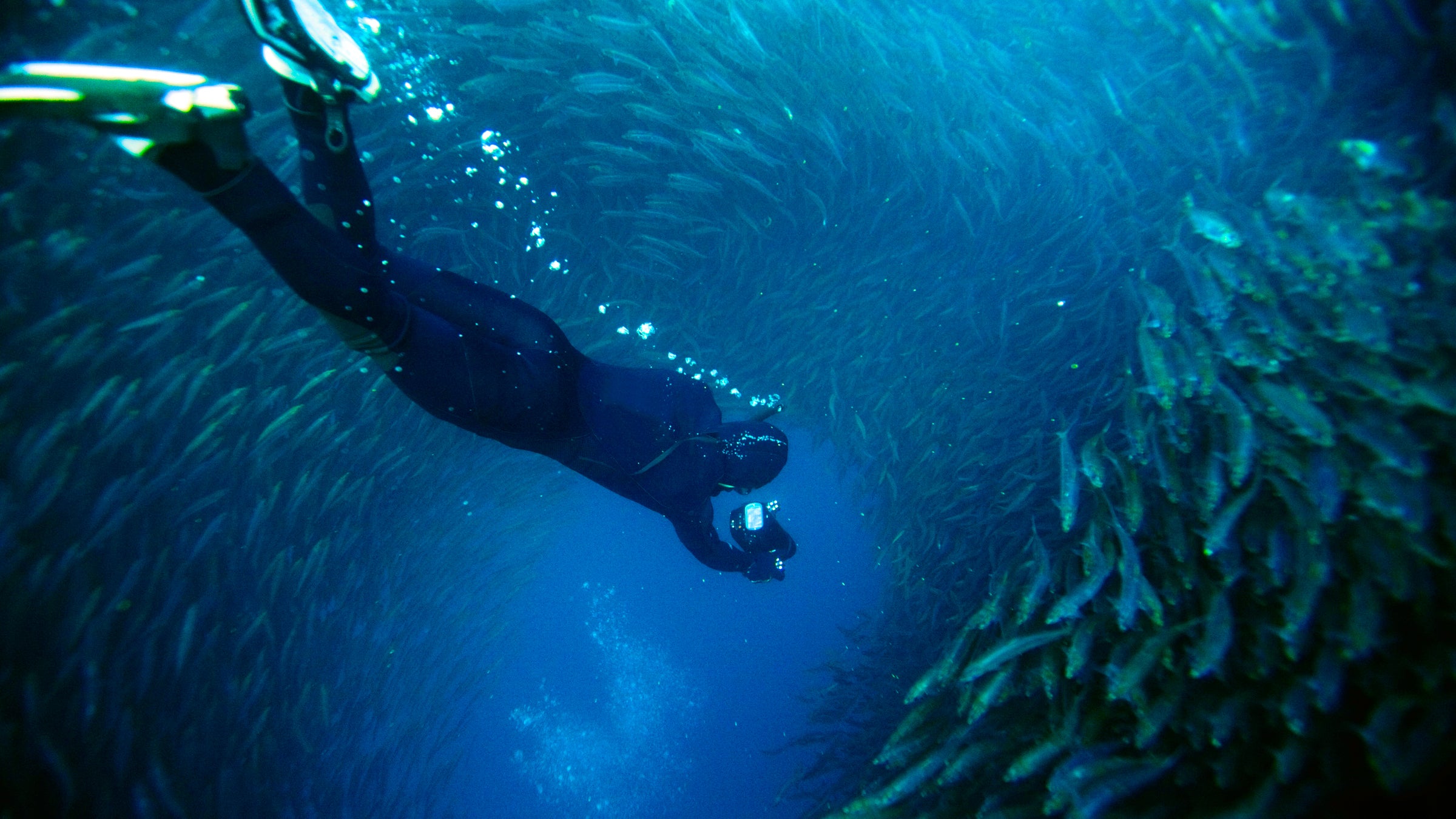 freediving freediver deep james nestor blue mind wallace j nichols books summer reading ocean science