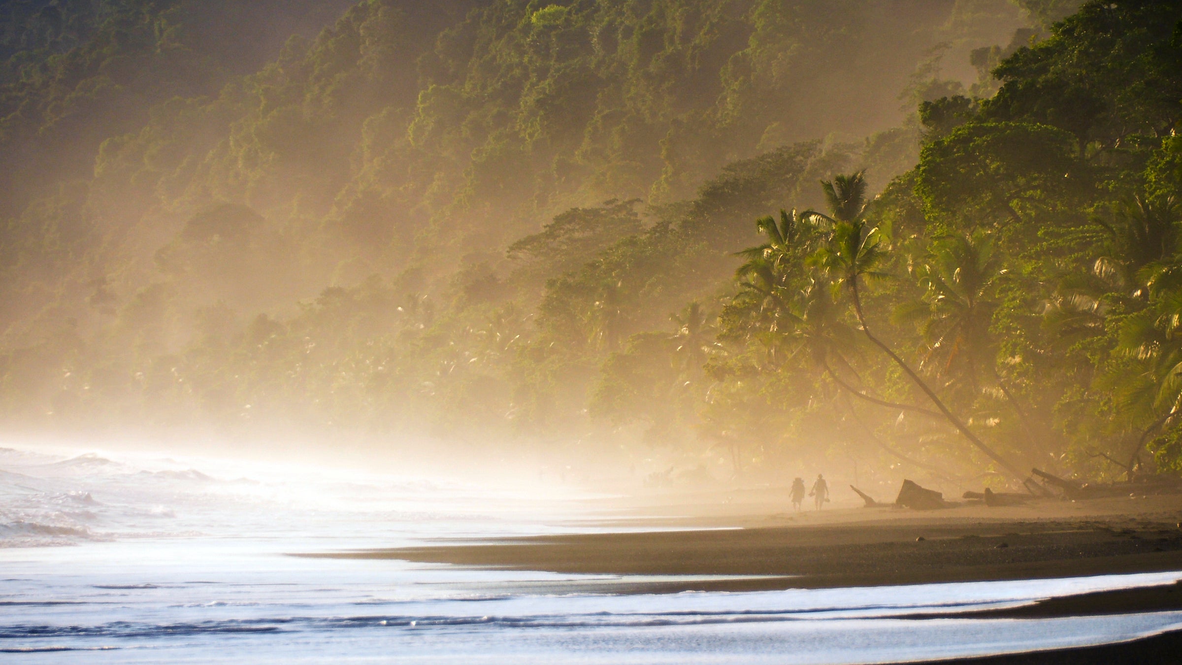 Cody Roman Dial disappeared on a trip through Costa Rica's Corcovado National Park. His parents realized something was amiss a week after he was supposed to have left the jungle.