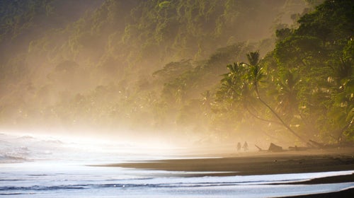 Cody Roman Dial disappeared on a trip through Costa Rica's Corcovado National Park. His parents realized something was amiss a week after he was supposed to have left the jungle.