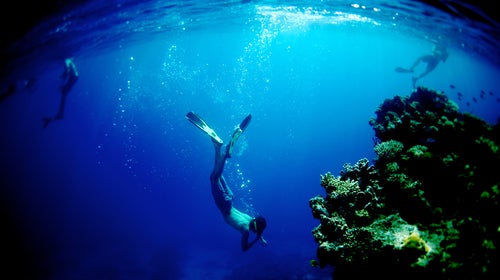 Viewfinder ԹϺ Online Snorkel Ocean Underwater Photography