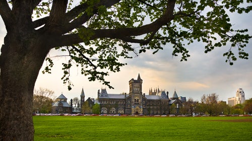 Many universities also own thousands of trees beyond the quad, laying claim to off-campus forests used for educational purposes.