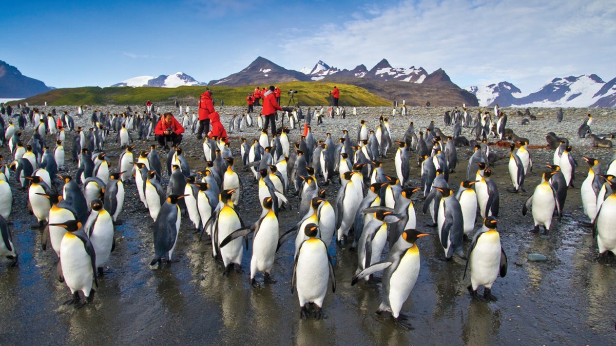 South Georgia Island: The Last Godforsaken Place