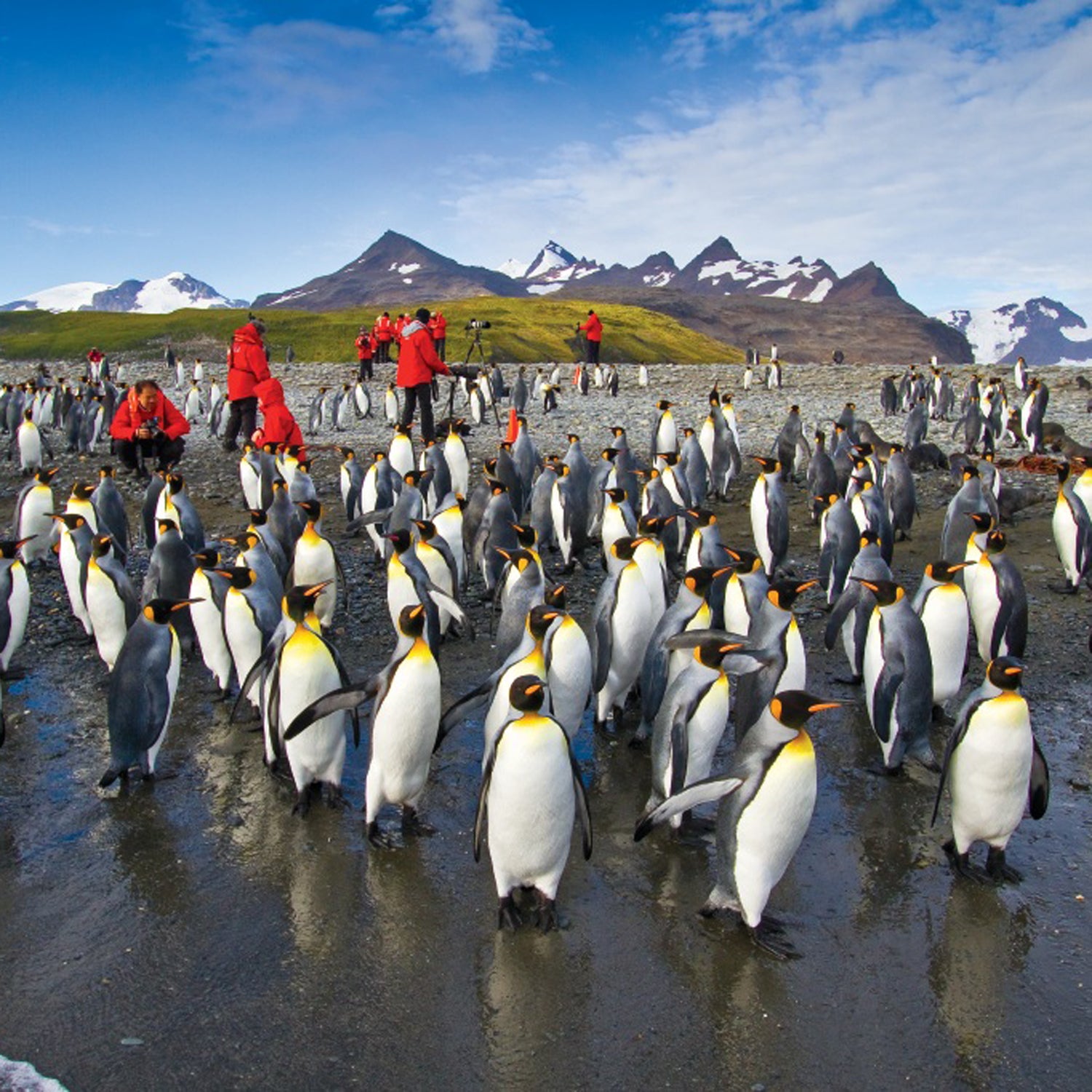 South Georgia Island: The Last Godforsaken Place