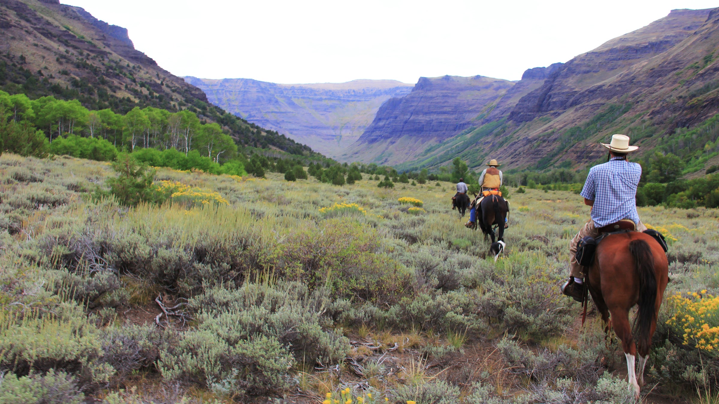 wild land cheap land oregon washington bureau of land management land parcel the go list travel outside magazine outside online