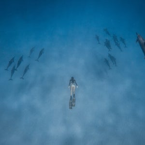 Oahu freedive dolphins photography Outside Magazine