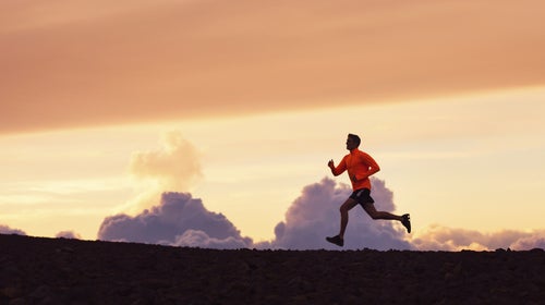 A low-carb diet forces the body to use fat as its primary fuel; some endurance athletes are hoping that will help them stay energized for longer.