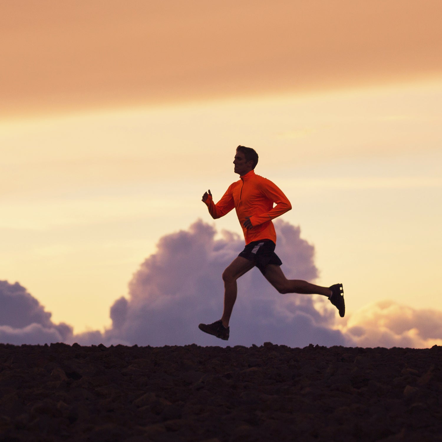 IV. How Fat Metabolism Affects Endurance Running Performance
