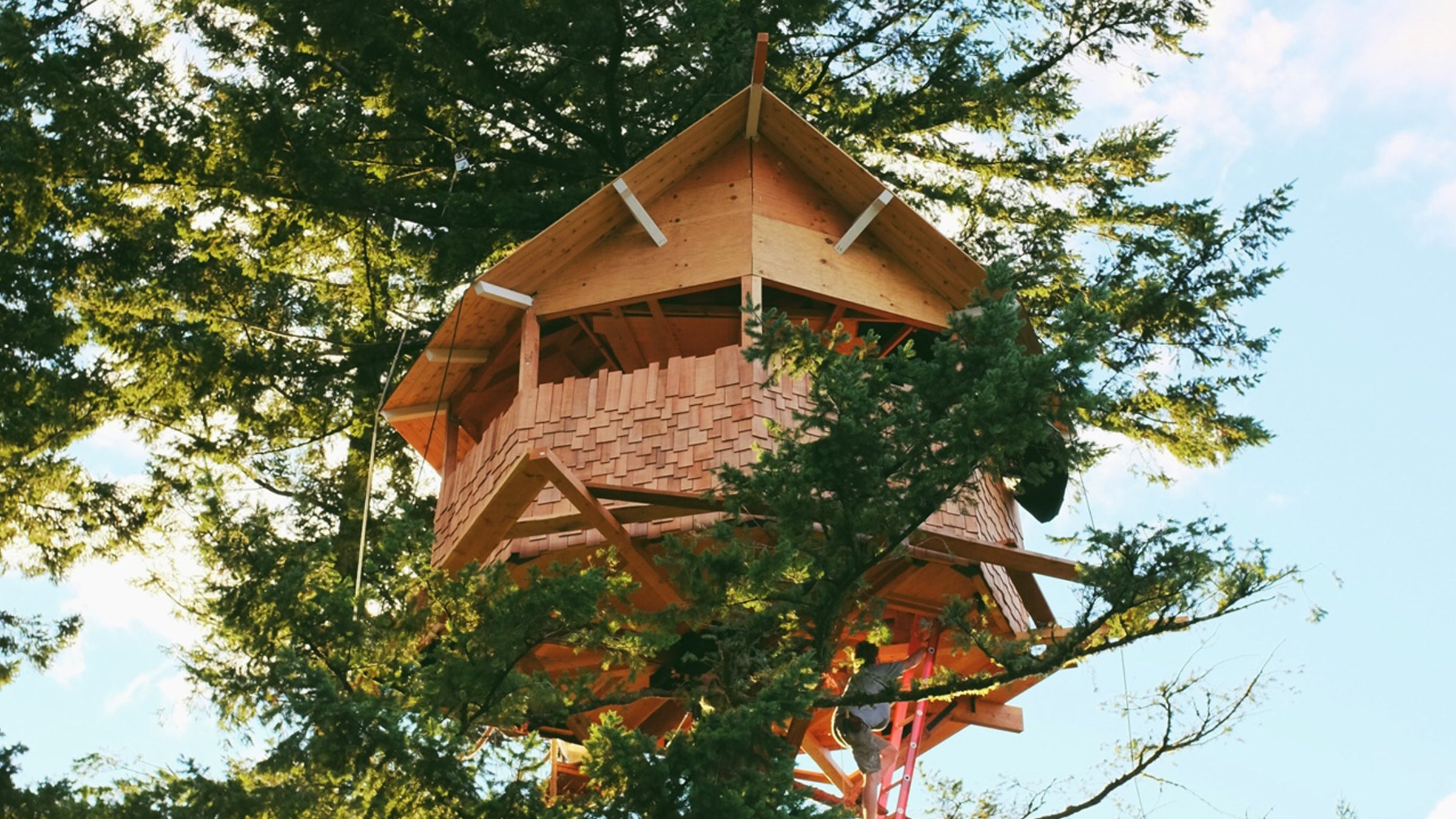 the cinder cone treehouse perches above a skatebowl