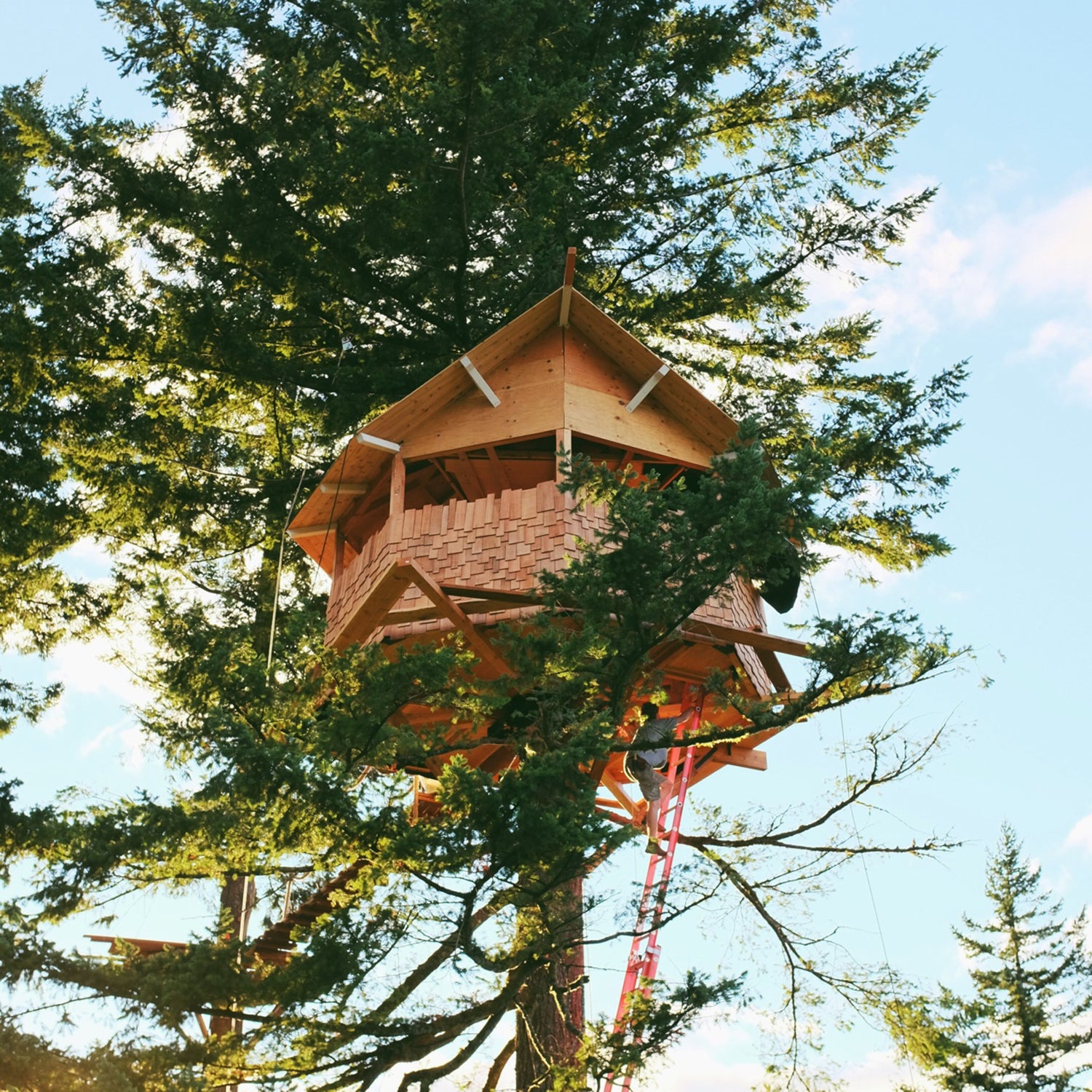 Foster Huntington #vanlife home is where you park it treehouse skatepark columbia river gorge shelter gear shed outside outside online outside magazine