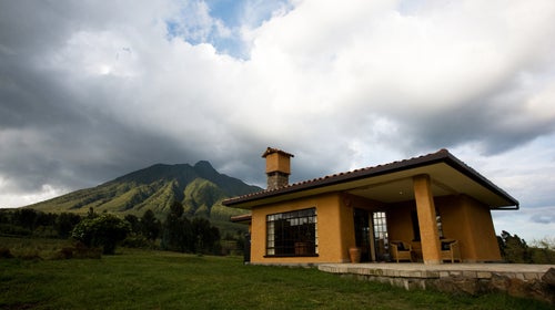 Travel ԹϺ Goriallas Rwanda ԹϺ Online