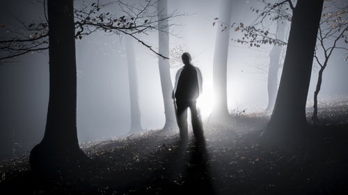 nature hollywood fog creepy movie scary movie