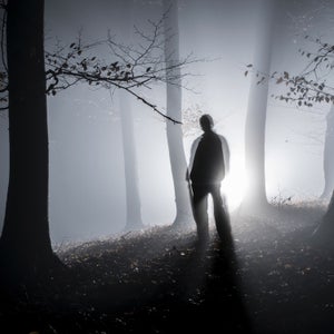 nature hollywood fog creepy movie scary movie