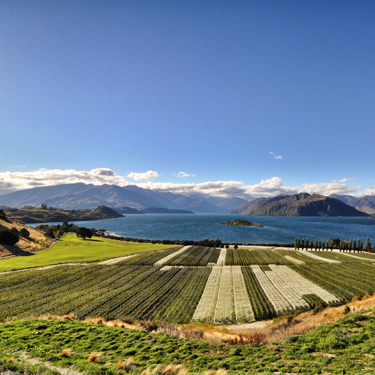 Rippon Valley Winery New Zealand Wanaka emerging wine areas napa valley earthquake outside outside magazine outside online ac shilton food and drink the current