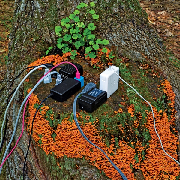 digital detox david roberts grist outside technology mindfulness